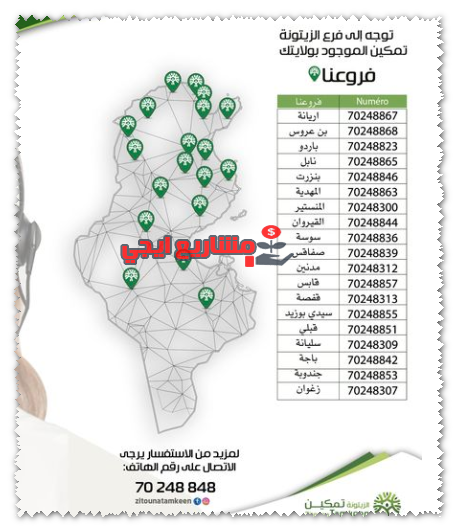 فروع الزيتونة تمكين