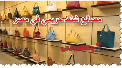 مصانع شنط حريمي في مصر