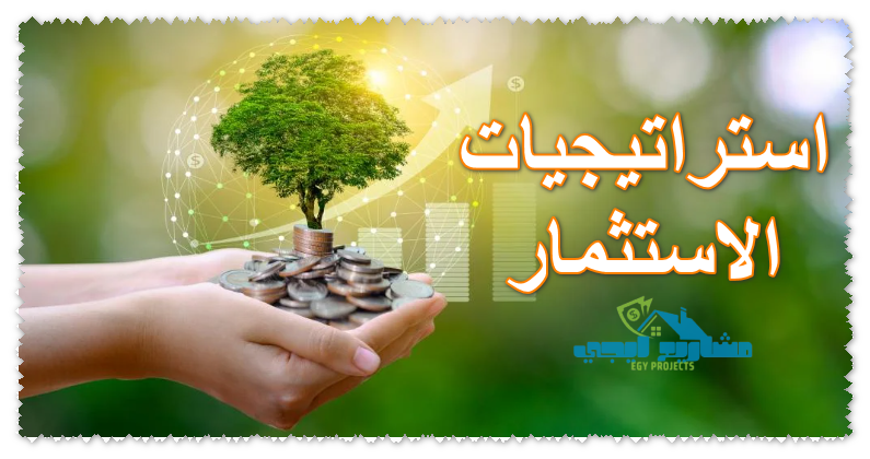 استراتيجيات الاستثمار