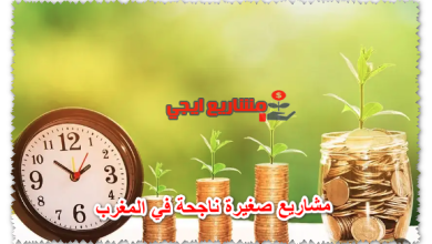 مشاريع صغيرة ناجحة في المغرب