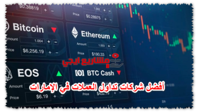 أفضل شركات تداول العملات في الإمارات