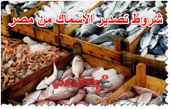 شروط تصدير الأسماك من مصر