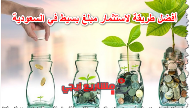 أفضل طريقة لاستثمار مبلغ بسيط في السعودية