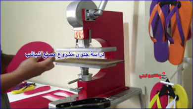 دراسة جدوى مشروع مصنع شباشب
