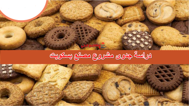 دراسة جدوى مشروع مصنع بسكويت