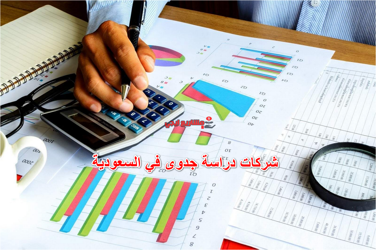 شركات دراسة جدوى في السعودية