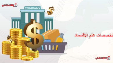 تخصصات علم الاقتصاد