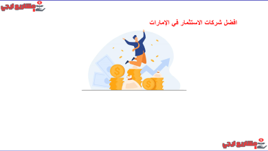 افضل شركات الاستثمار في الإمارات