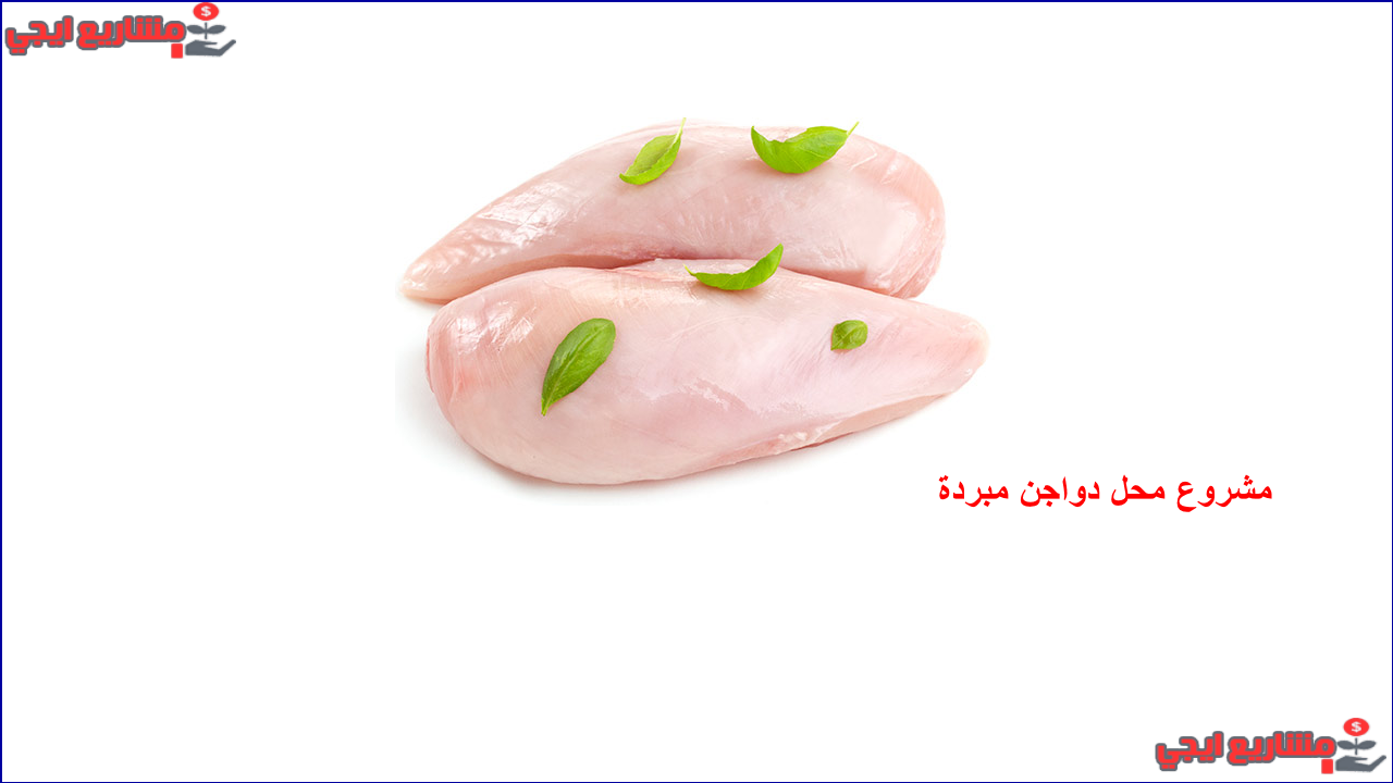 مشروع محل دواجن مبردة