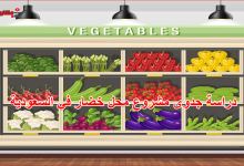 دراسة جدوى محل خضار في السعودية