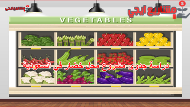 دراسة جدوى محل خضار في السعودية