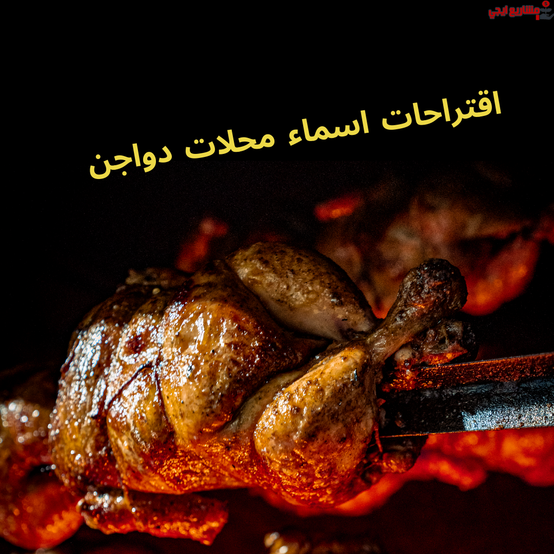 اقتراحات اسماء محلات دواجن