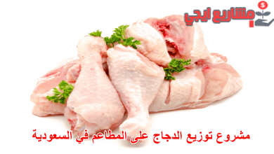 مشروع توزيع الدجاج على المطاعم في السعودية