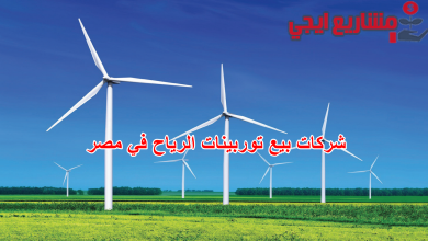 شركات بيع توربينات الرياح في مصر