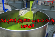 دراسة جدوى مشروع إنتاج زيت الزيتون