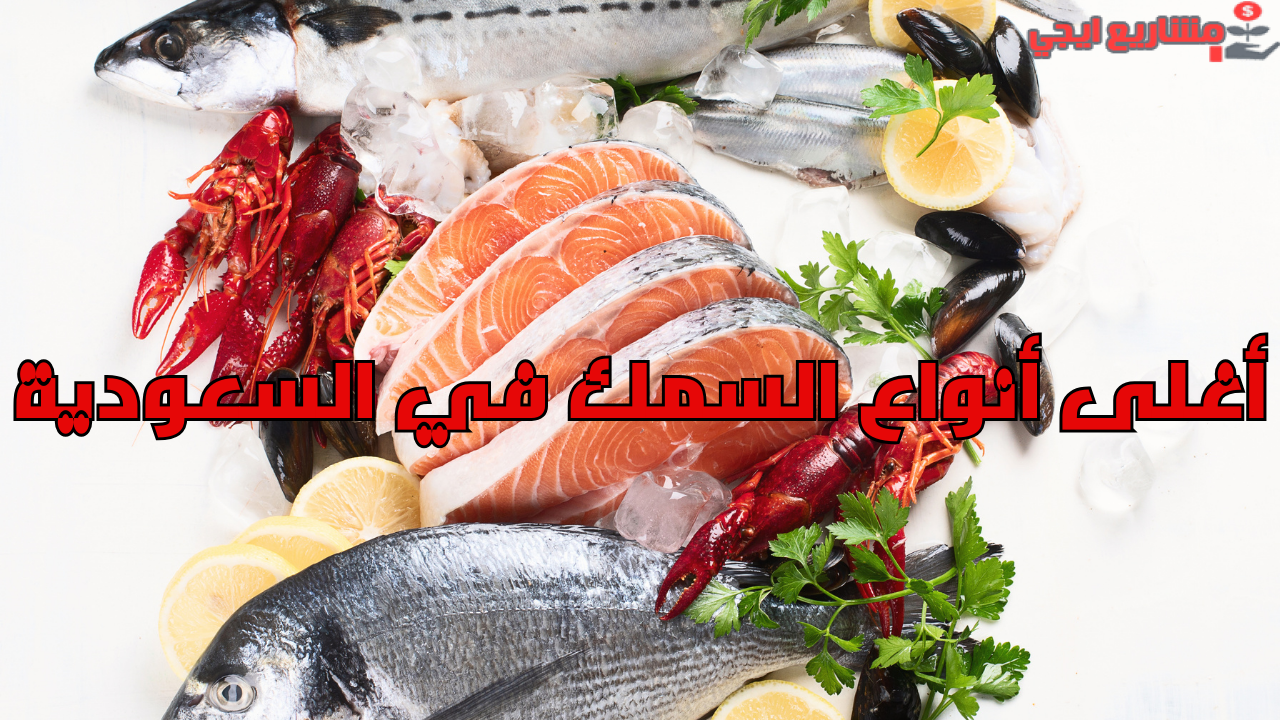 أغلى أنواع السمك في السعودية