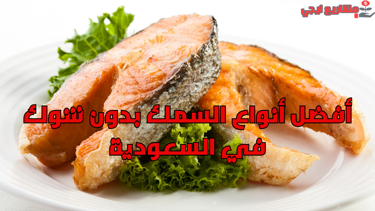 أفضل أنواع السمك بدون شوك في السعودية