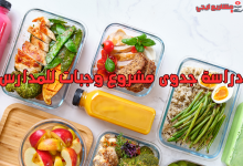 دراسة جدوى مشروع وجبات للمدارس