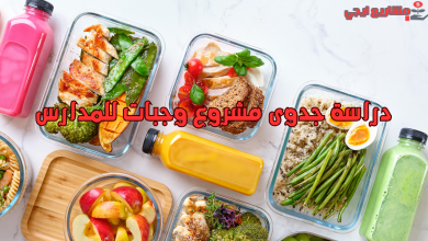 دراسة جدوى مشروع وجبات للمدارس