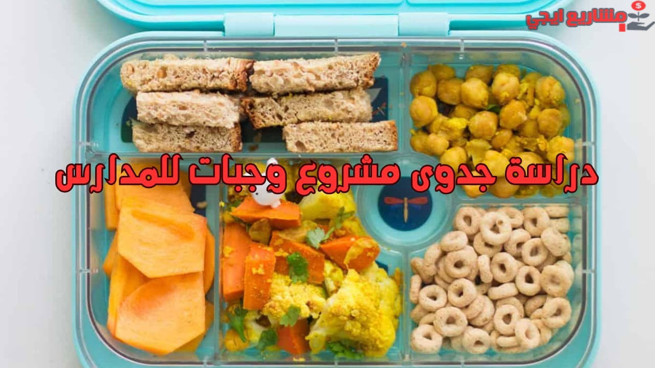 دراسة جدوى مشروع وجبات للمدارس