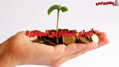 أنواع المشاريع الصغيرة