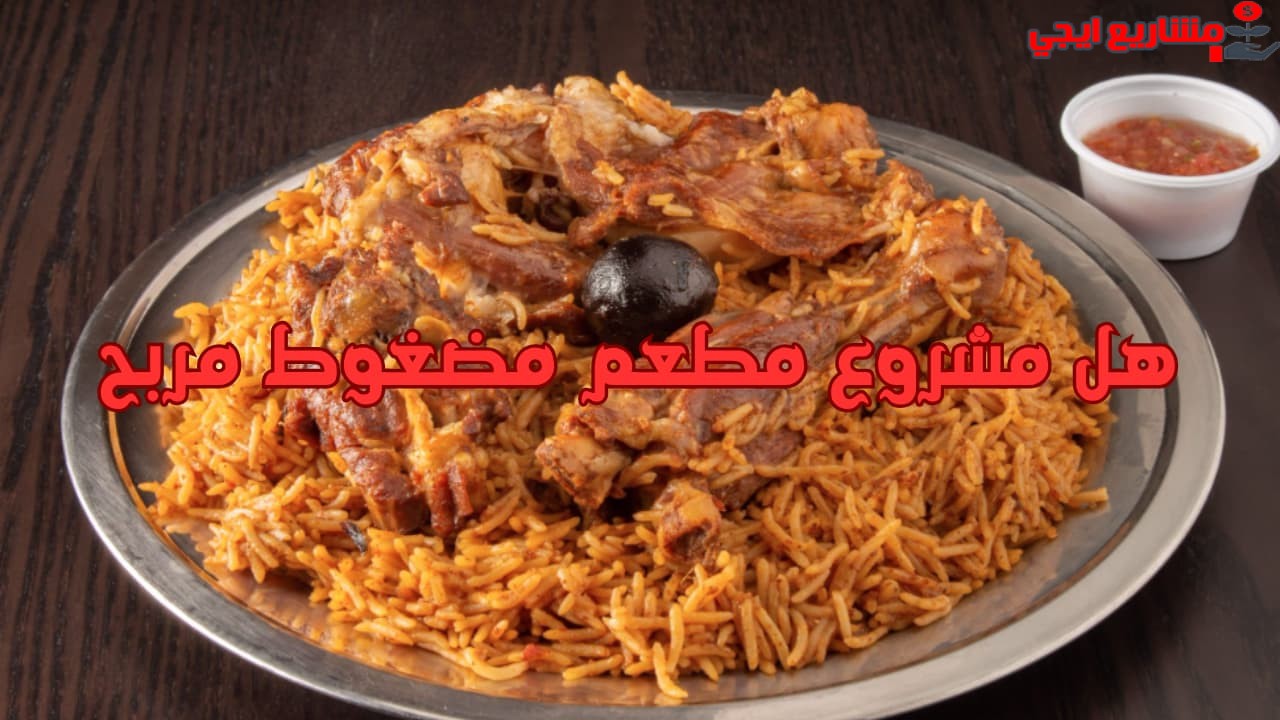 هل مشروع مطعم مضغوط مربح