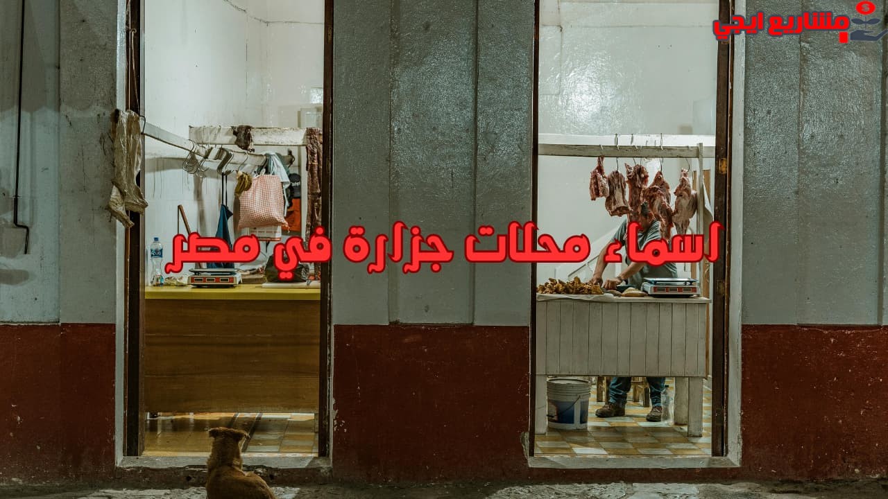 اسماء محلات جزارة في مصر
