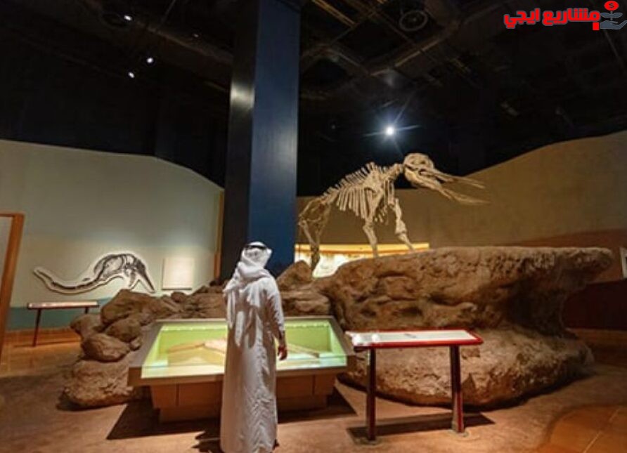 مشروع متحف صغير أو معرض دائم